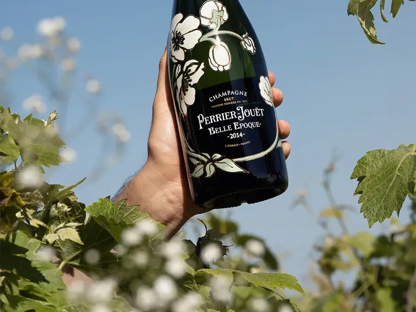A hand holding a dark green champagne bottle with white floral label design, photographed outdoors with white flowers and green foliage visible in the background.