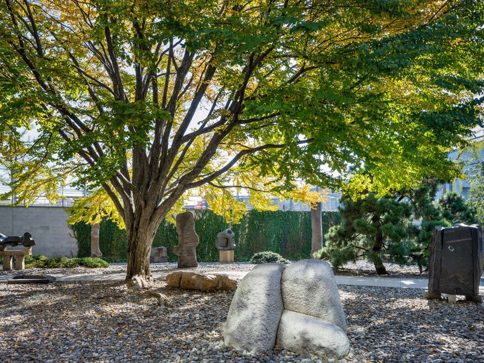 The Noguchi Museum: Sculpture garden with early autumn foliage and abstract works.