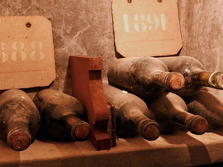 Dusty, aged wine bottles lie on a stone shelf, with cardboard signs marked '1888' and '1891' above them in a cellar.