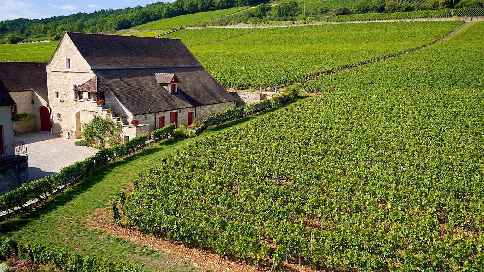 Planning a Visit to Clos de Tart and Clos de Vougeot in 2026