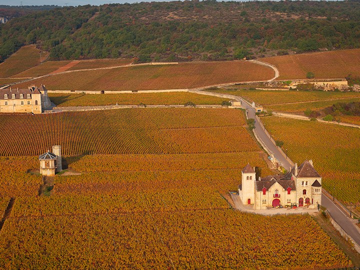 Château de la Tour winery building inside the Clos de Vougeot walls, surrounded by golden autumn vines.