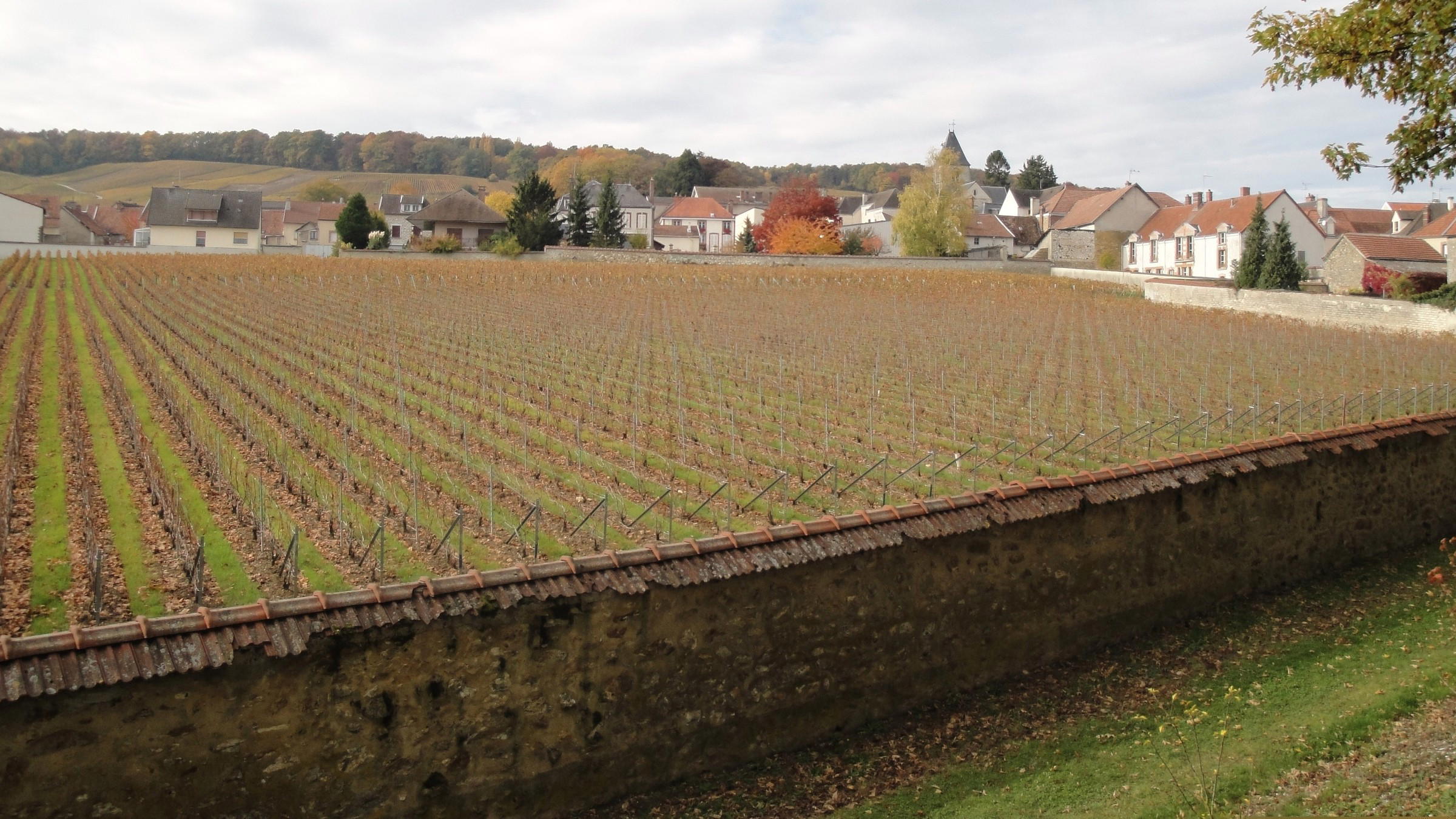 Planning a Visit to Krug in 2026