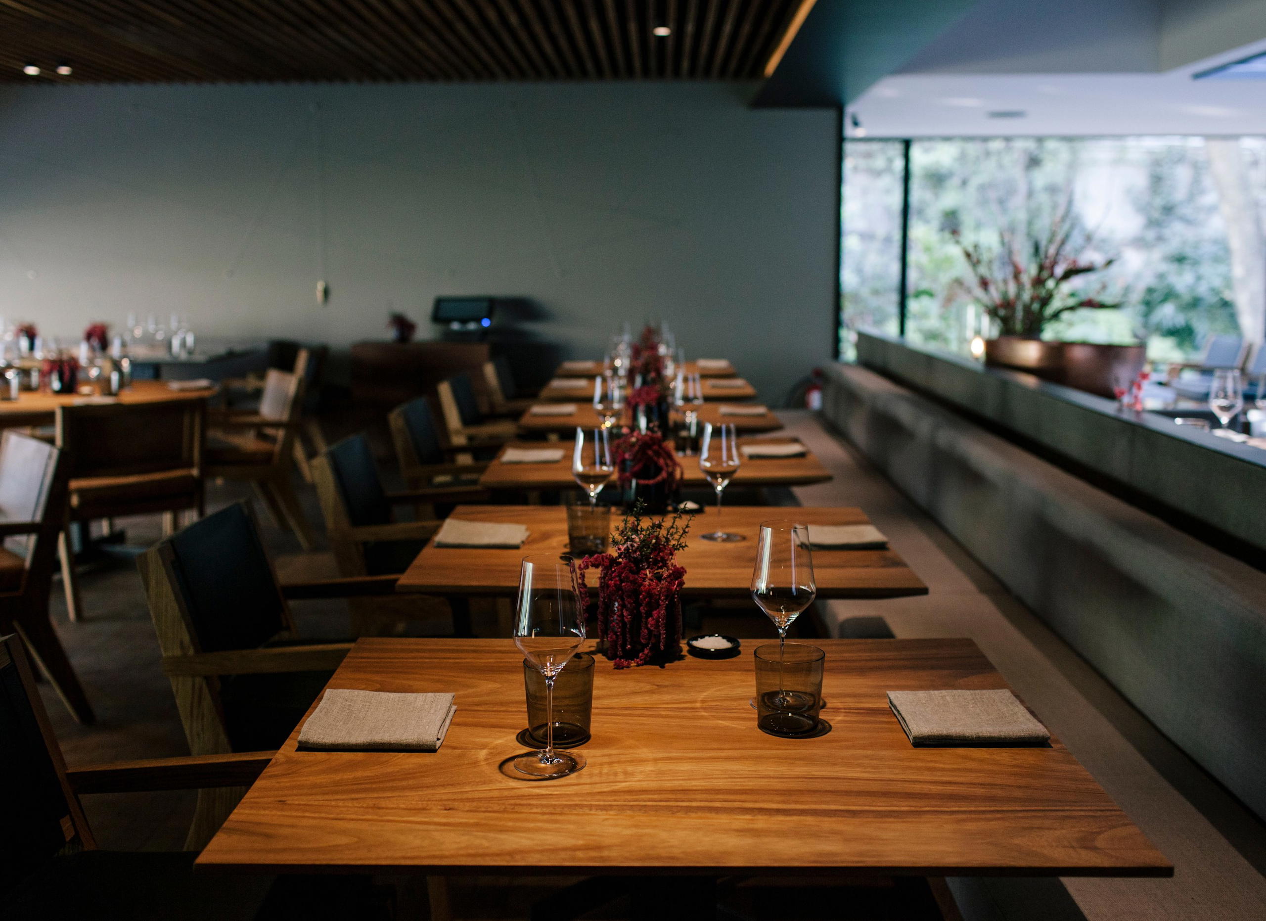 Pujol Reservation in Mexico City: 2026 Booking Guide