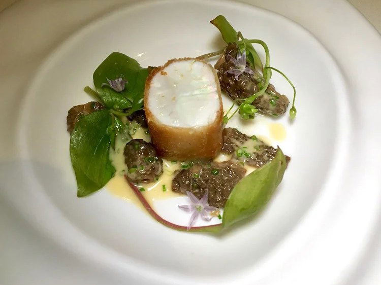 An elegantly plated fine-dining dish on a white plate featuring a seared scallop cylinder, morel mushrooms, green leaves, and a cream sauce.