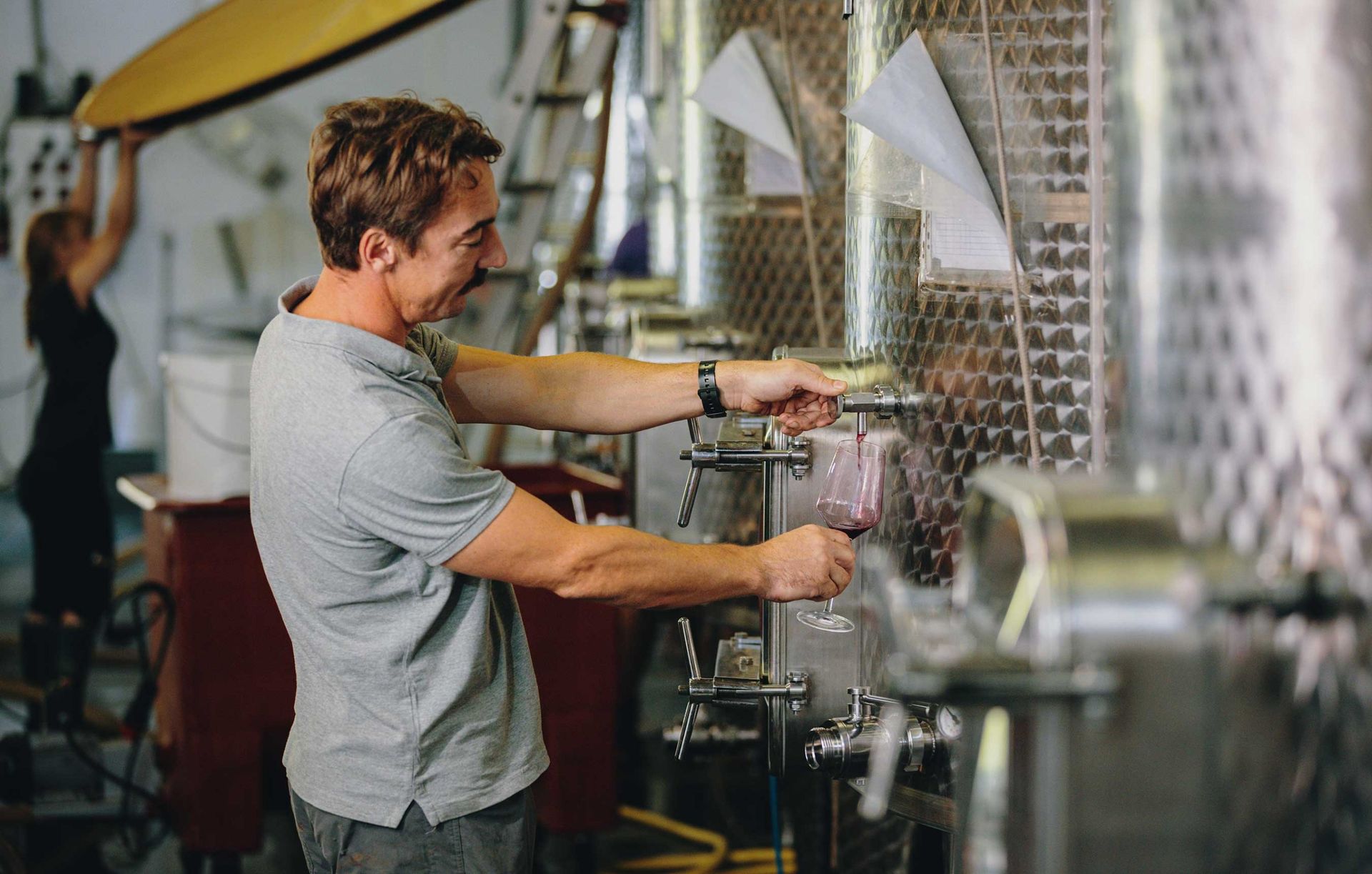 Pommard Winemaking Renaissance: Burgundy’s New Guard
