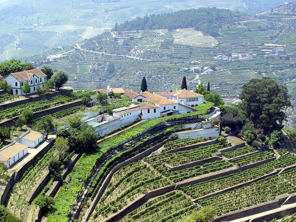 Aerial view of terraced vineyard hillsides with white-walled quinta buildings and orange-tiled roofs in the Douro Valley, Portugal.