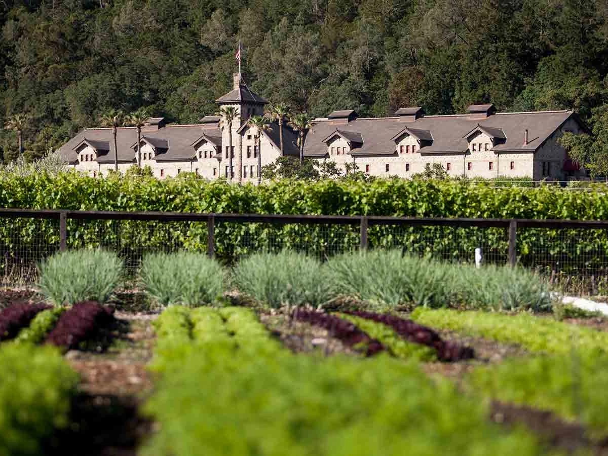 CIA Greystone exterior in St. Helena, anchoring Premiere Napa Valley, seen across rows of grapevines and a kitchen garden.