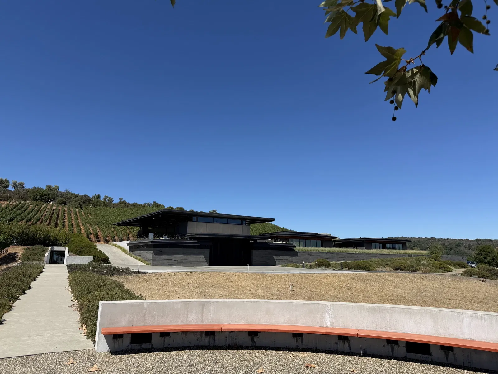 Low charcoal Realm Houyi winery built into vineyard rows on Pritchard Hill