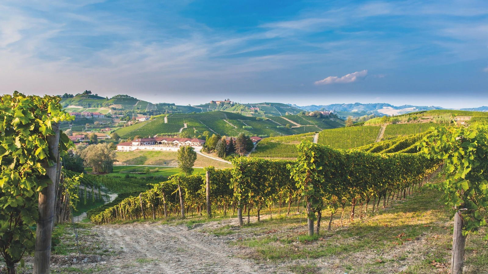 Roero Nebbiolo Value Across the Tanaro