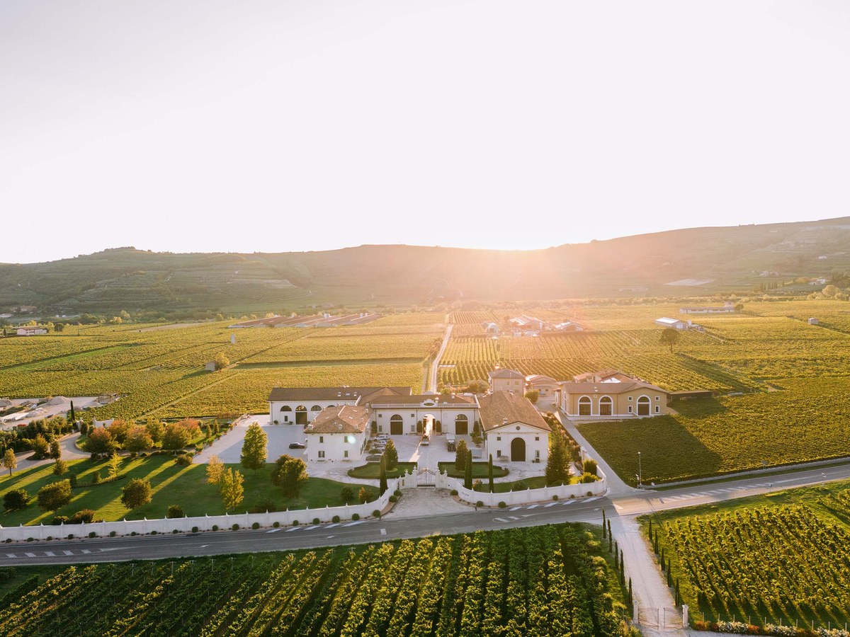 Aerial view of Romano dal Forno's estate and vineyards in the Ilasi valley, converted to hyper-density planting after 1996.