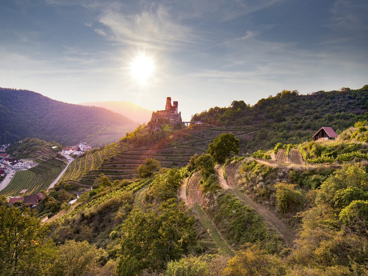 A scenic vineyard landscape with terraced hillsides, a castle ruin on a hilltop, and rolling hills at sunset.