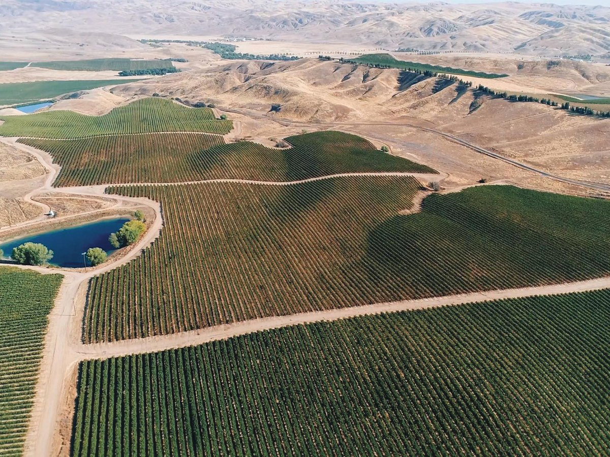 Aerial view of vineyard parcels in rolling hills with irrigation ponds, surrounded by arid terrain; source page (Wine Enthusiast article on Central Co