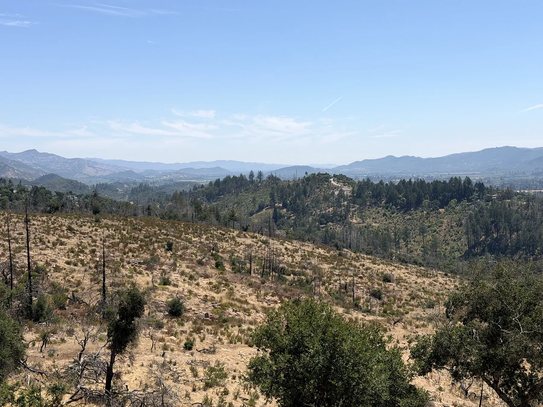 Recovering fire-marked hillsides and Napa Valley seen from Seven Stones Estate