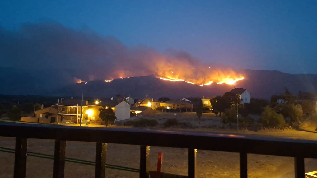Sierra de Gredos Wildfire Scars Historic Garnacha