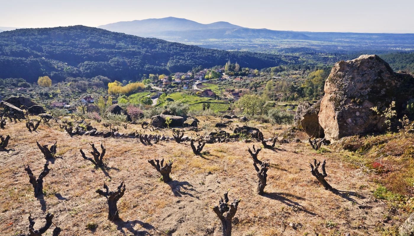 A terraced vineyard with heavily pruned grapevines in the foreground, a large rock outcrop on the right, and a green valley with houses and trees stretching toward distant mountains in the background.