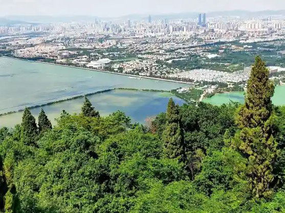 Dianchi Lake offers serene views of Kunming's urban landscape from a forested overlook.