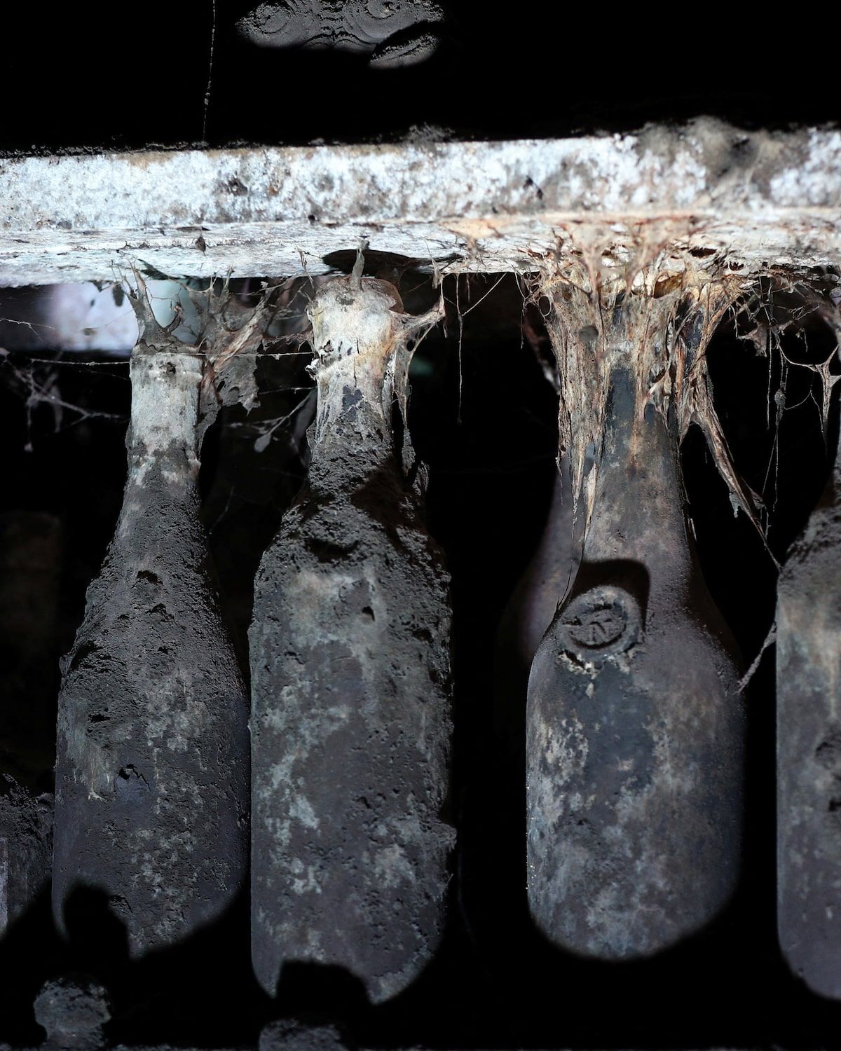 Four very old, dust-covered wine bottles hang upside down from a shelf, encased in thick cobwebs and grime, in a dark cellar.