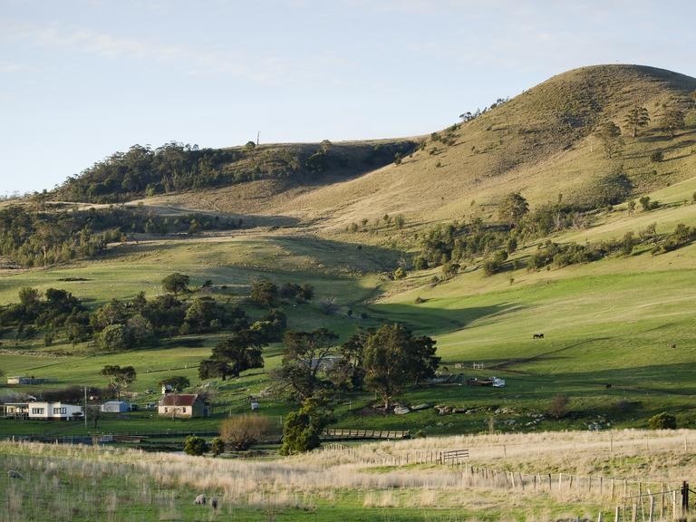 Stargazer Wines' Coal River Valley vineyard, a cool-climate hillside destination.