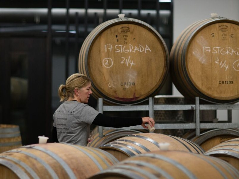 Stargazer Wines: A vintner tends to oak barrels, meticulously sampling wine in the cellar.