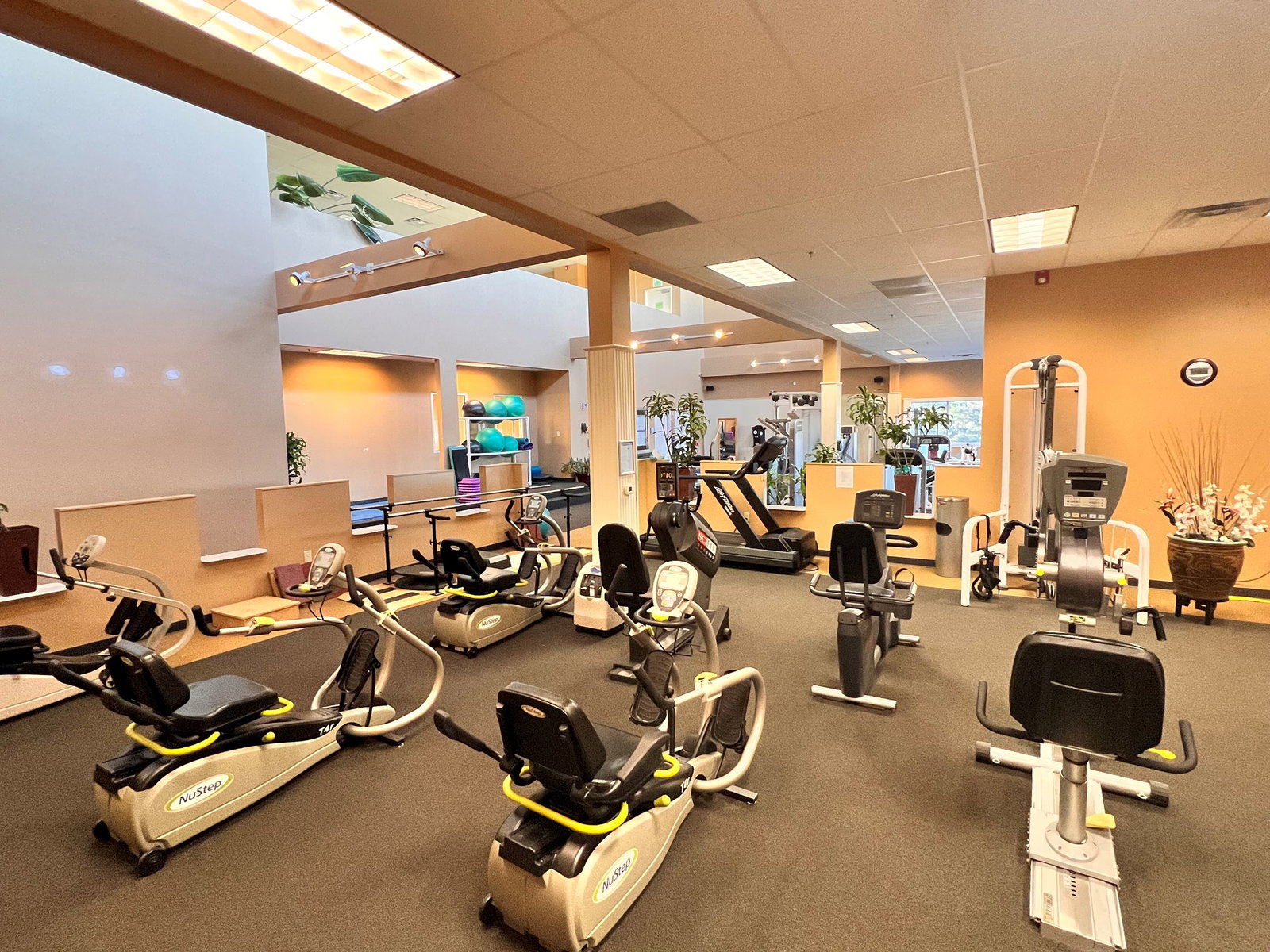 Wellness and Activities includes several recumbent bikes with yellow accents.