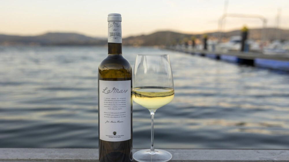 Terras Gauda Caíño Blanco and Rías Baixas’ Future
