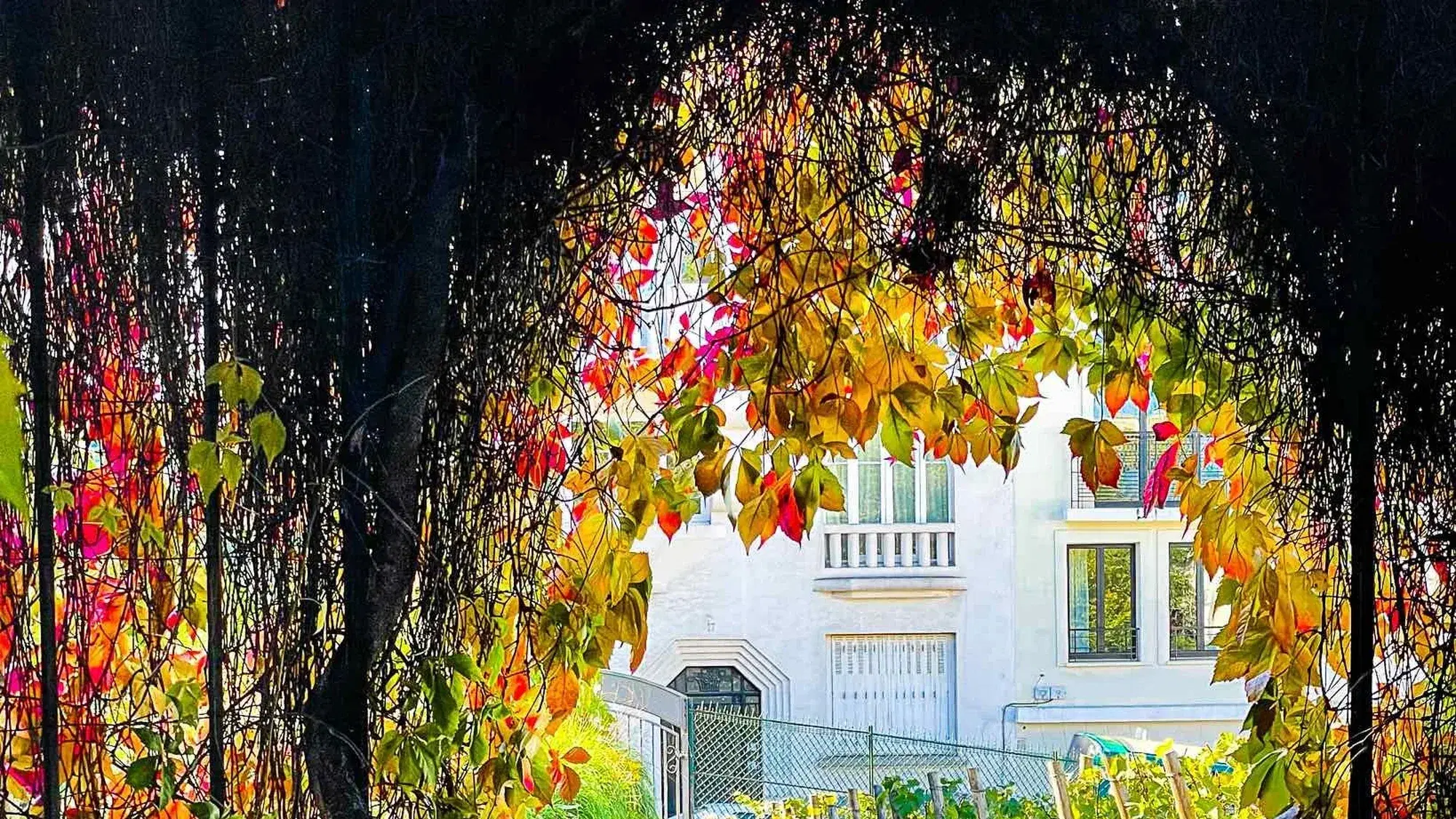 The Best Restaurants in Paso Robles