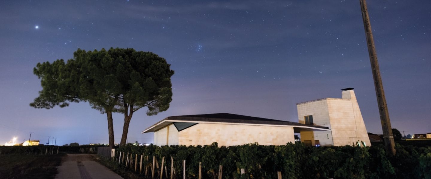 5 Best Santa Barbara Wineries to Visit in 2026