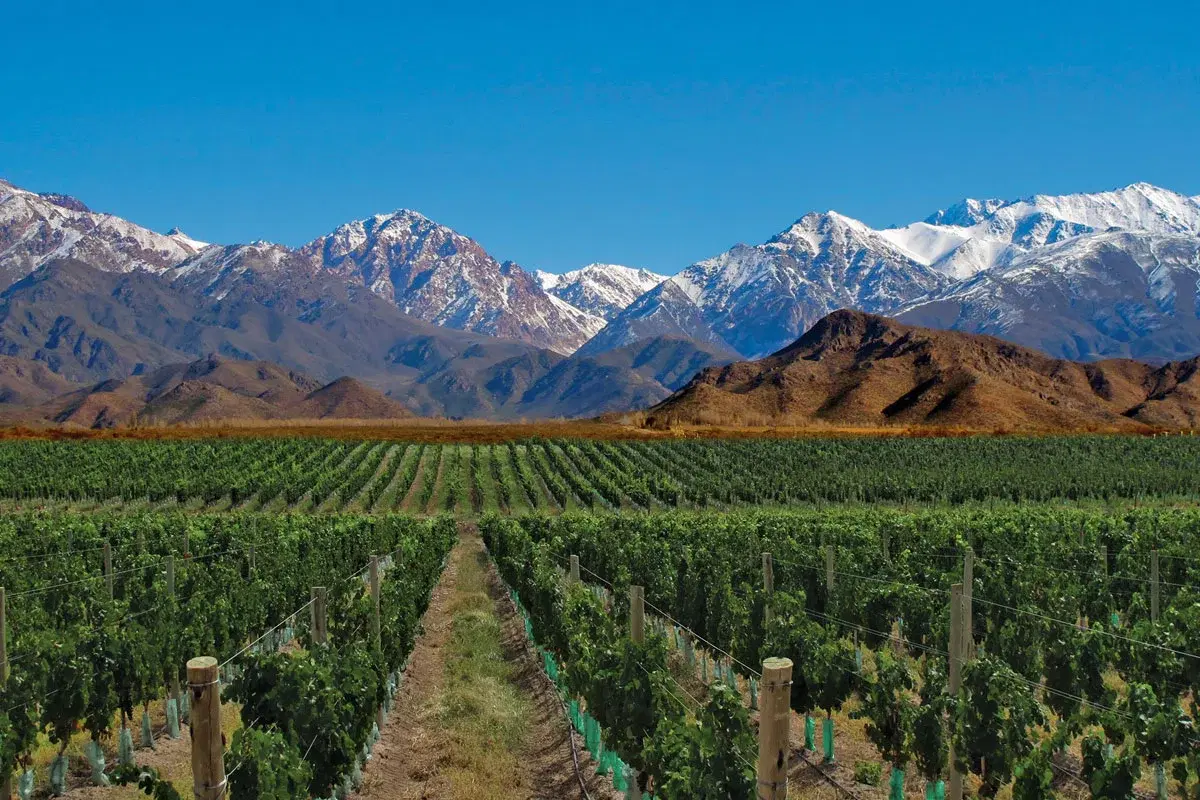 The Future of Wine Hotels: Casa de Uco is Mendoza’s Ultra-Modern Escape (2026 Review)