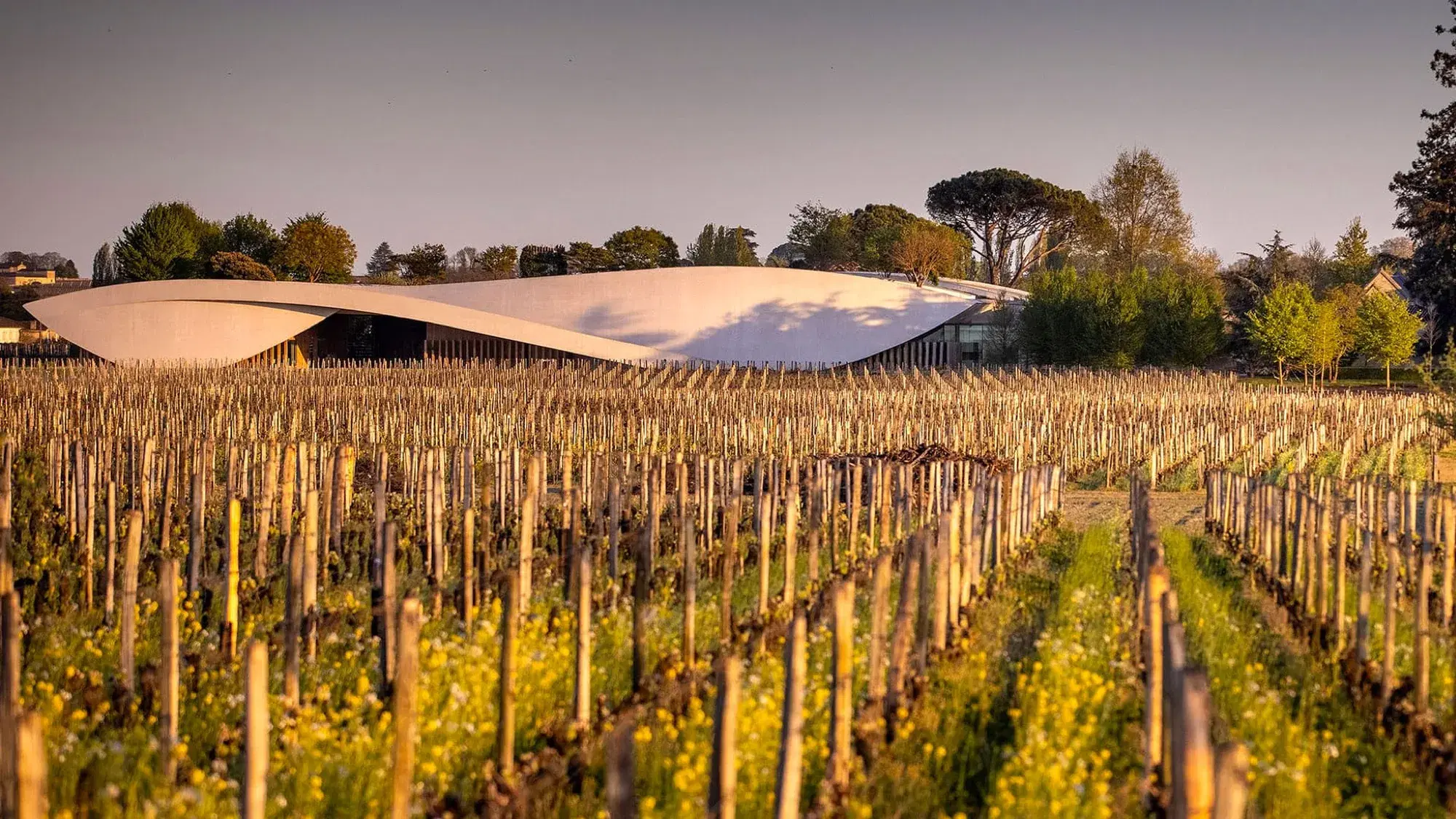The Holy Grail of Cabernet Franc: A 2026 Visit to Château Cheval Blanc (Bordeaux)