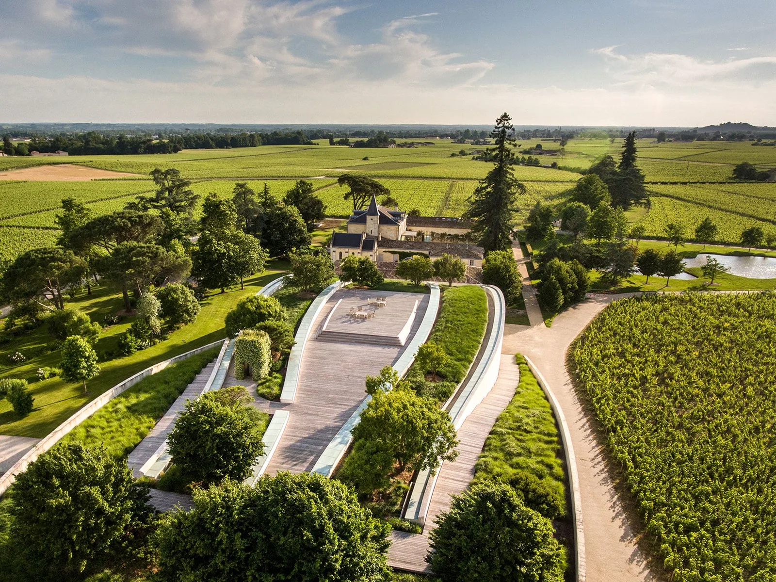 Vineyards in Bordeaux