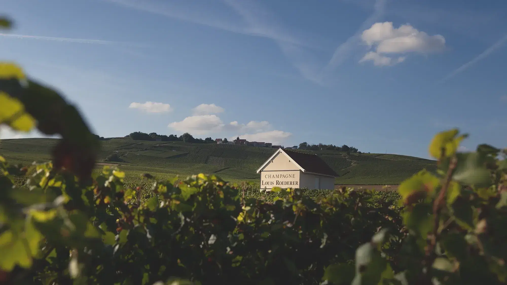 La Fête du Champagne Los Angeles 2025: Champagne Event Archive