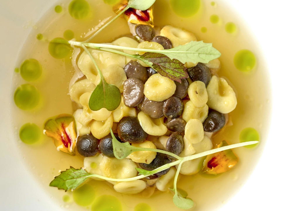 An elegantly plated dish featuring white and dark beans/legumes with edible flowers and microgreens in a golden broth.