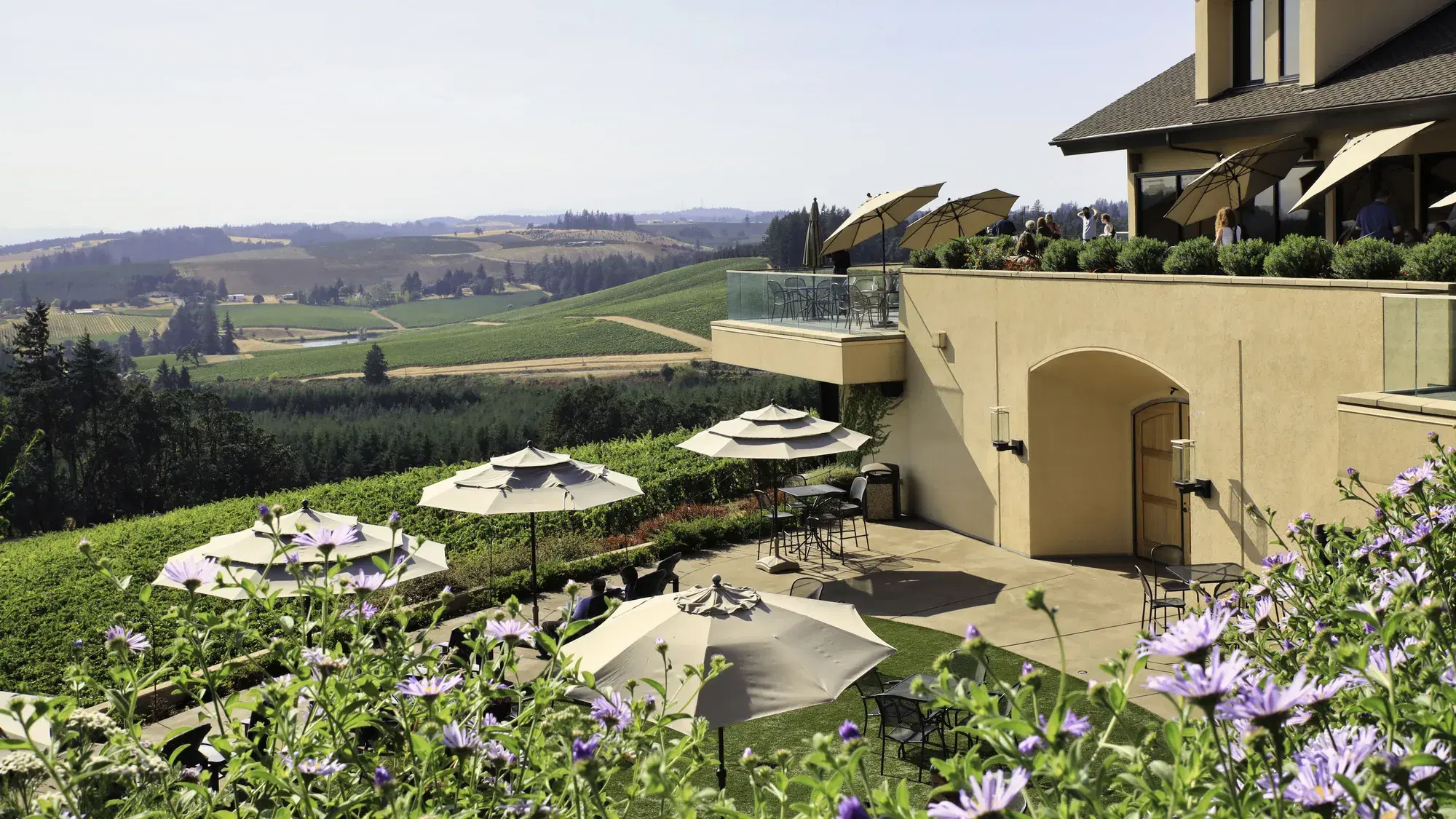 The Top 5 Wineries to Visit in Oregon's Willamette Valley
