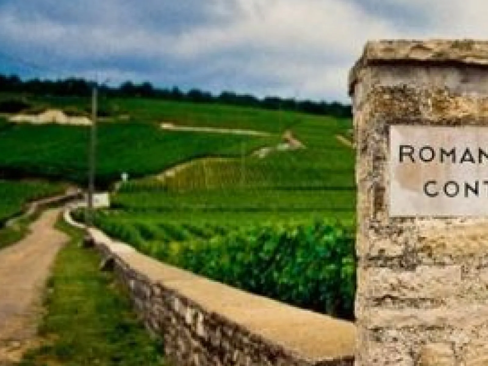 Vineyards in Burgundy
