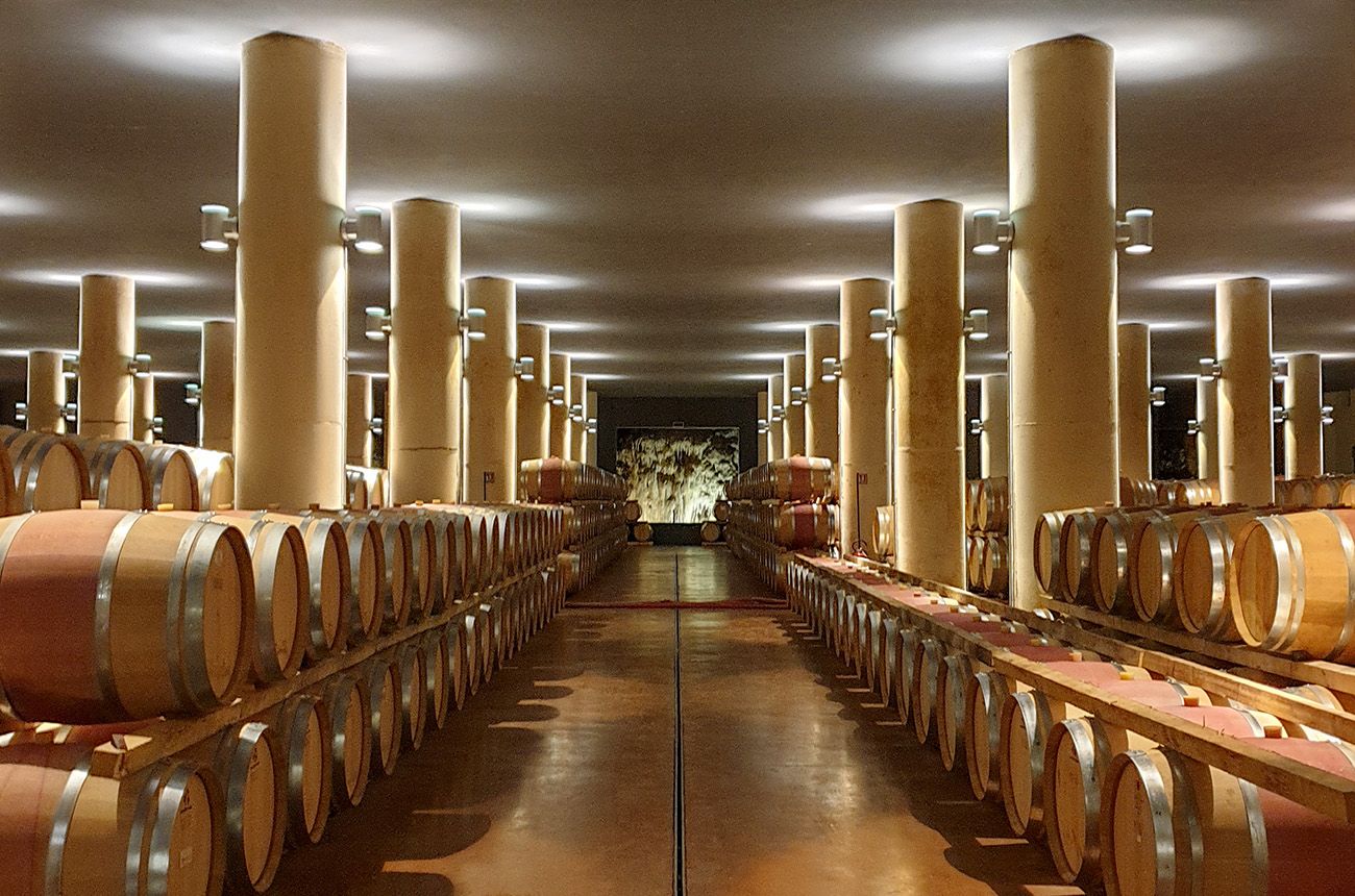 Ornellaia's Wine Collection features a vast, symmetrical layout of countless aging barrels.