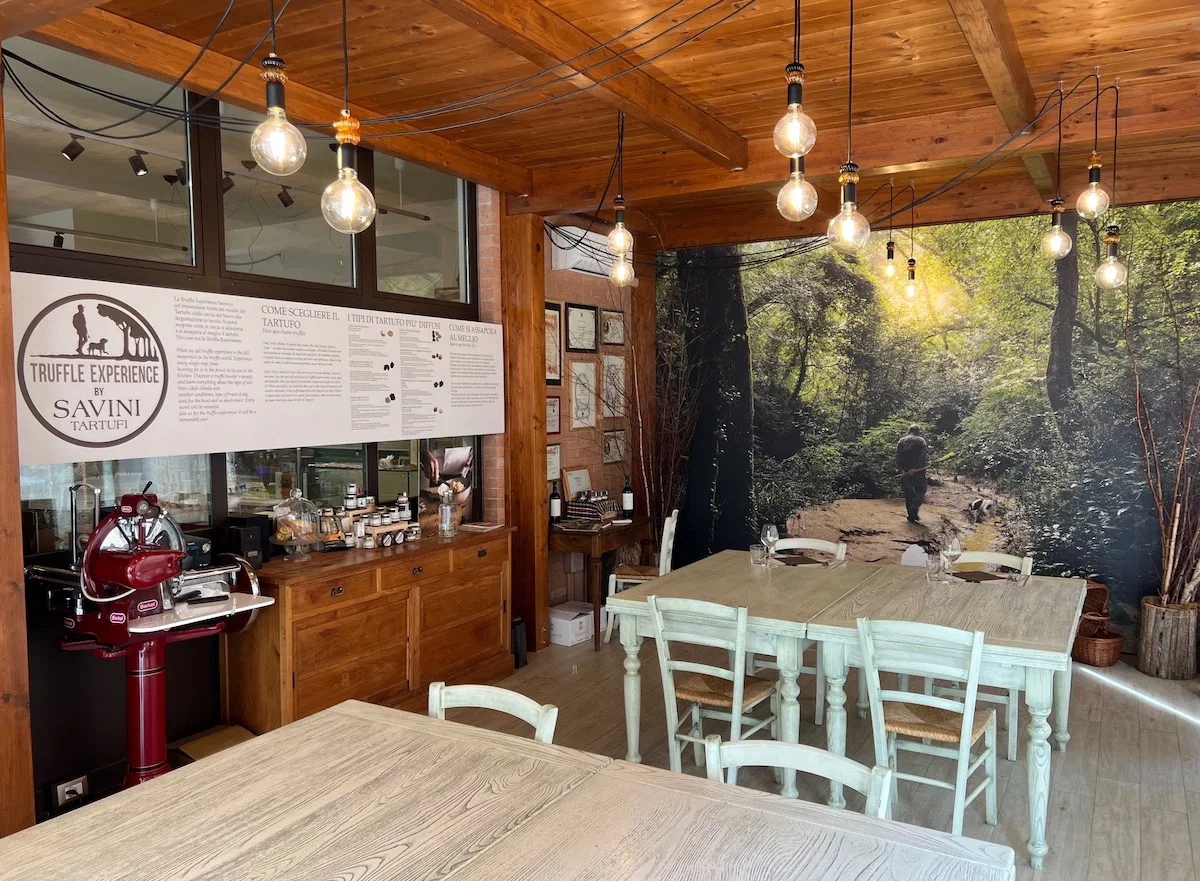 The Truffle Hunting Process in Tuscany features an immersive forest mural on one wall.