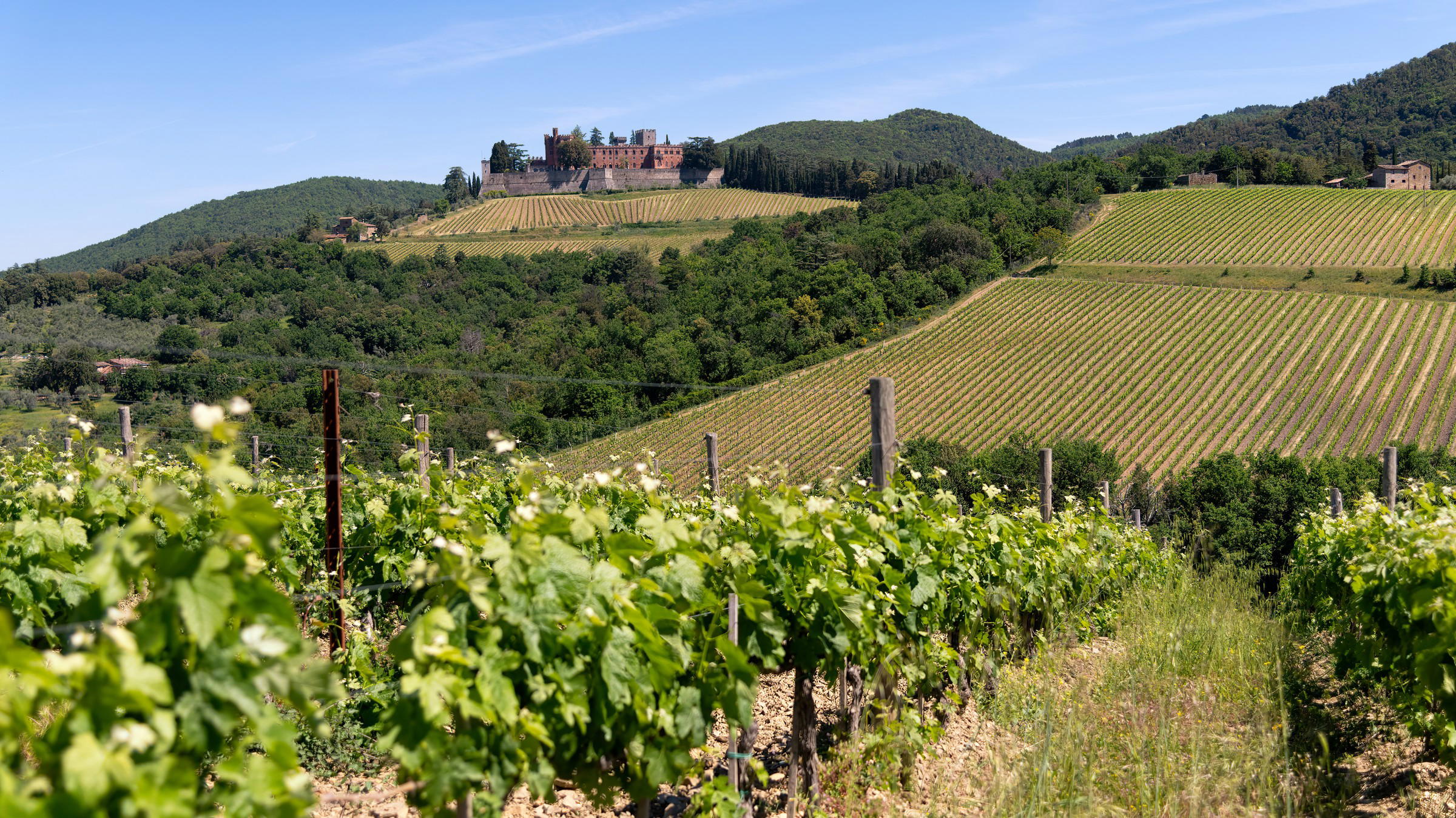 Tuscany Vintage Report: Five Decades of Peaks and Troughs