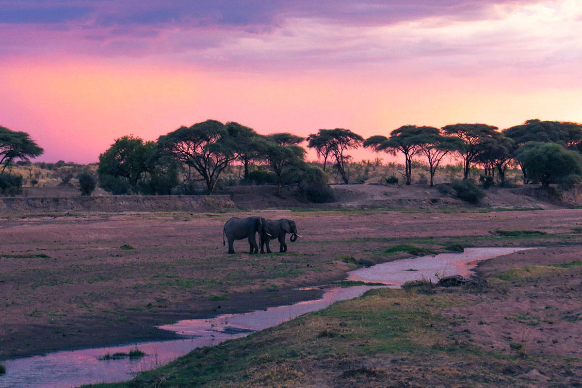 Ubuyu Banyan Tree Escape Is Tanzania’s Six-Villa Safari