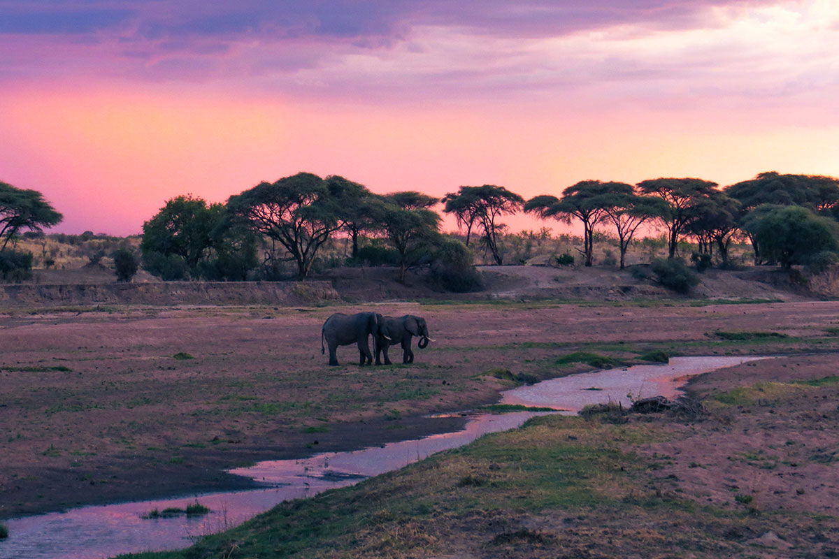 Ubuyu Banyan Tree Escape Is Tanzania’s Six-Villa Safari