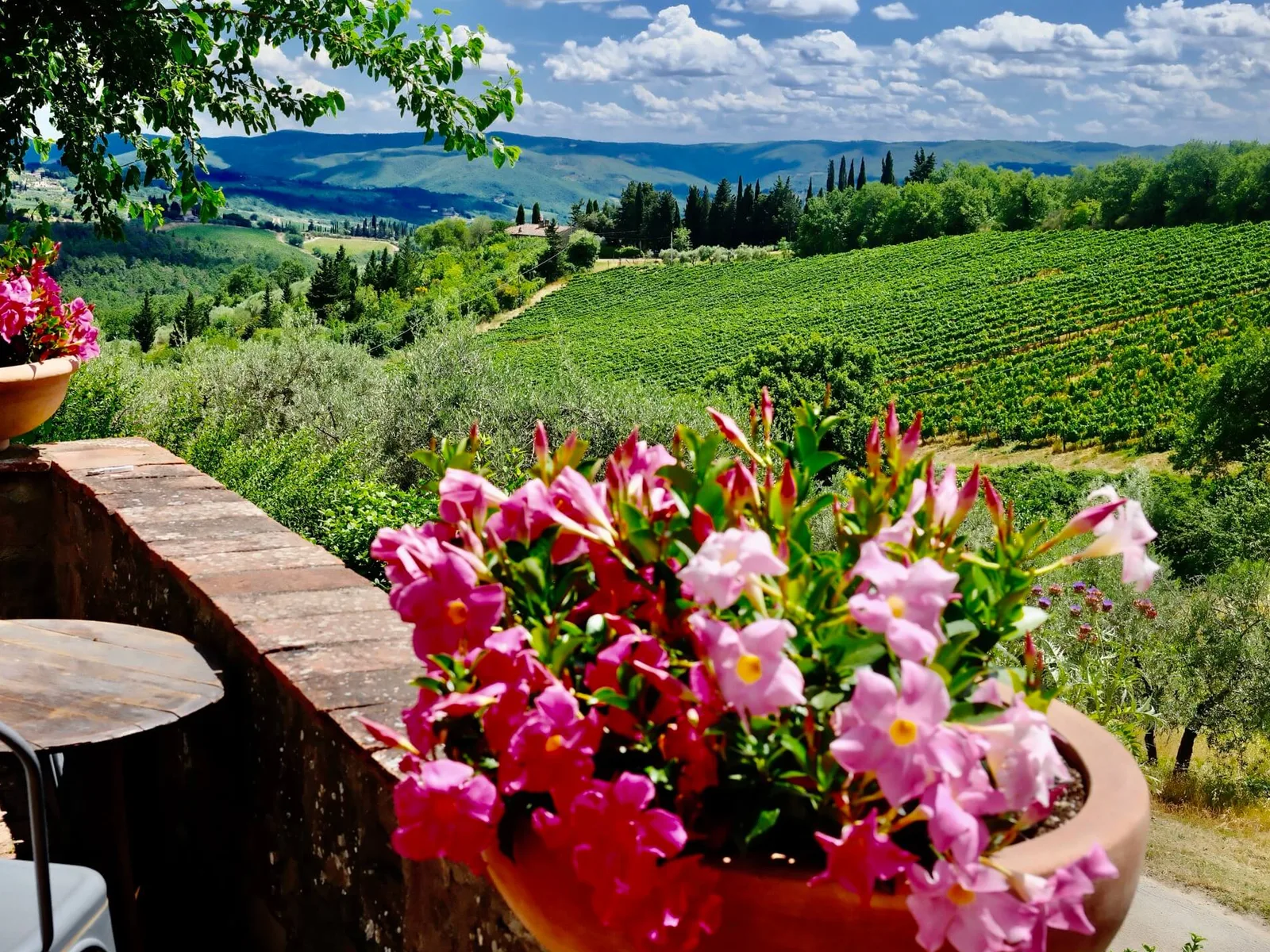 Vineyards in Tuscany