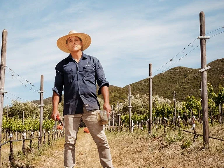 Man in a straw sun hat and navy shirt stands among trellised vineyard rows with green hills behind him, holding pruning shears.