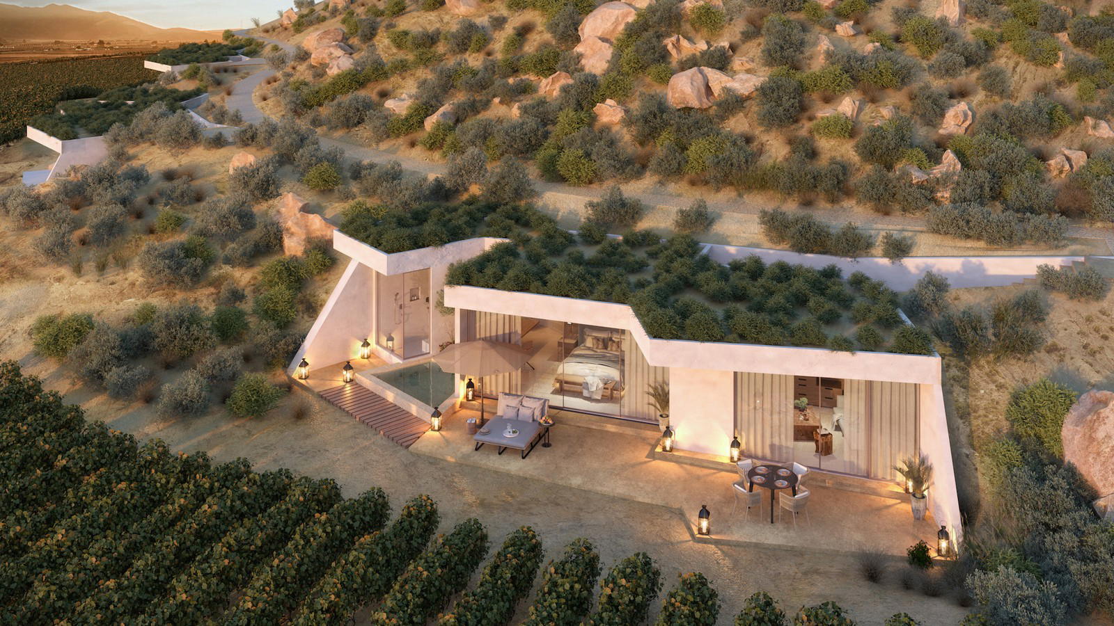 Valle de Guadalupe's Cross-Border Winemakers Rewriting Baja