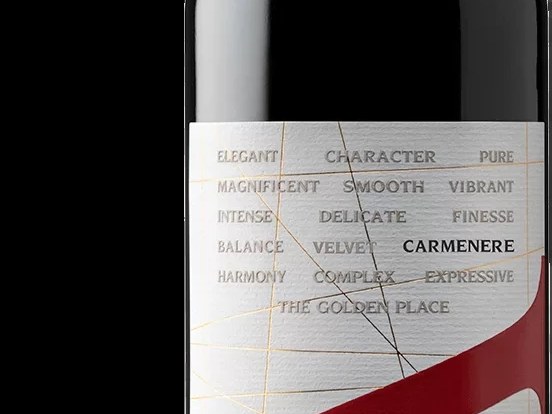 A single bottle of VIK 'A' Carmenere wine from Viña Vik, featuring a distinctive red geometric design on its label and a red foil cap.