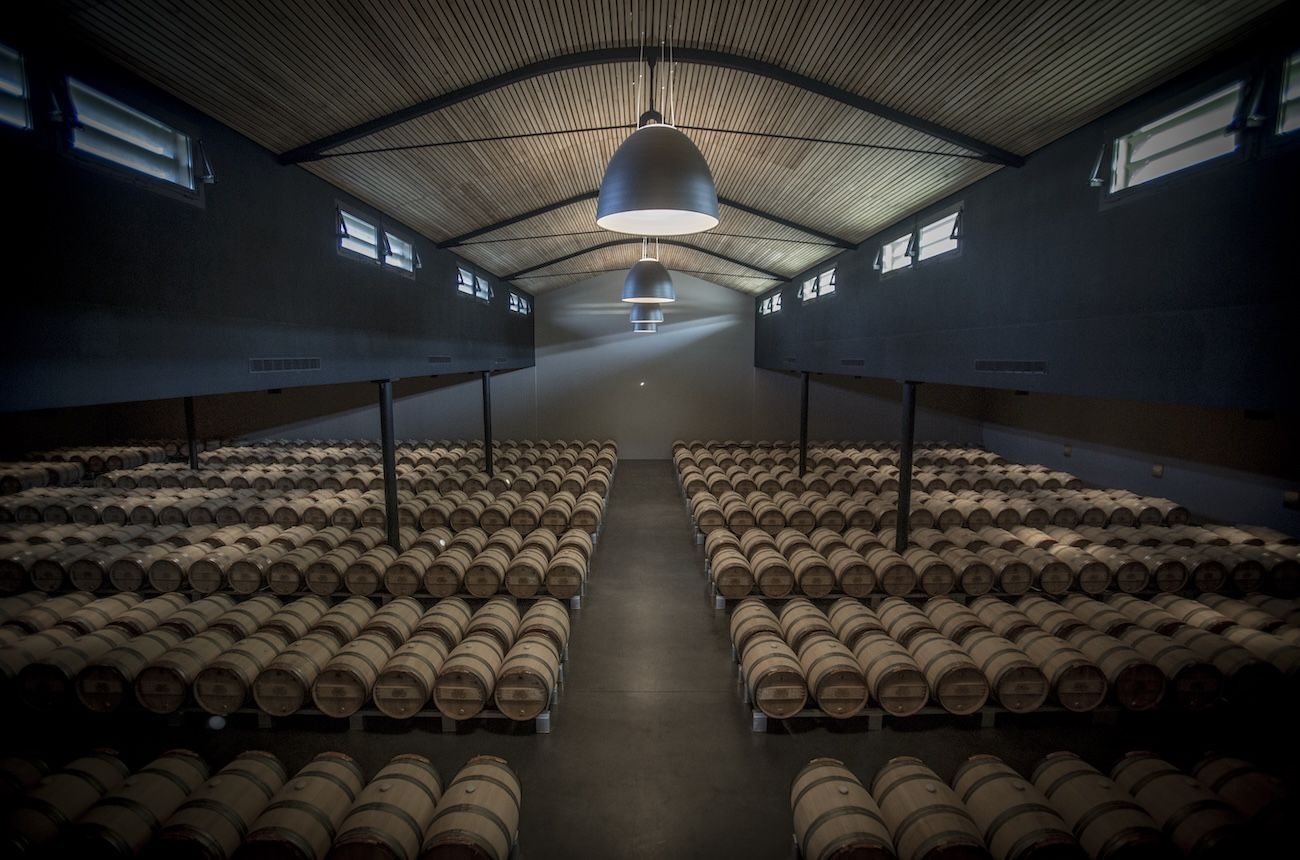 A professional wine barrel cellar with hundreds of oak barrels stacked in rows under industrial pendant lighting and a vaulted corrugated ceiling; the