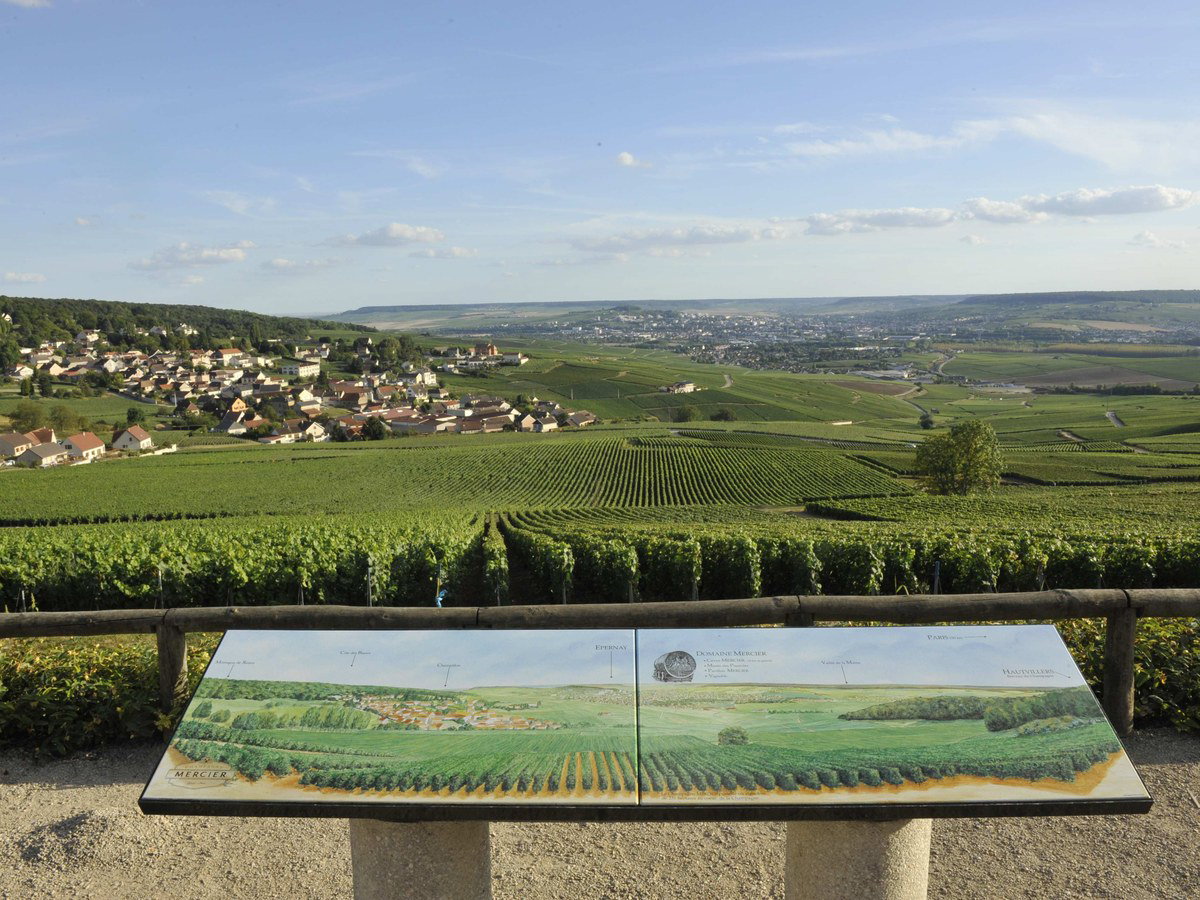A panoramic view of the Hautvillers vineyard slopes and the Marne valley, with a Domaine Mercier interpretive panel in the foreground.