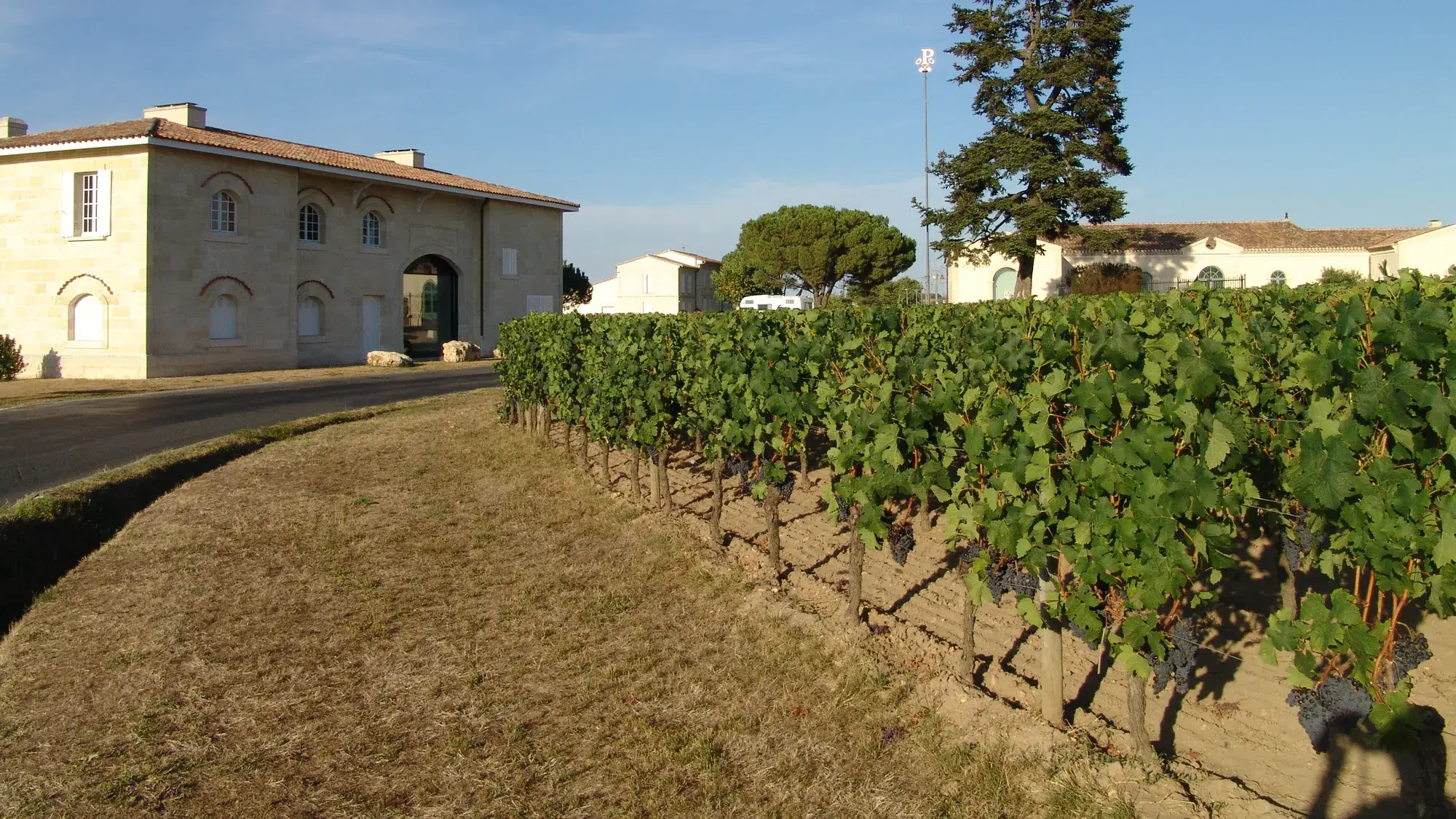 Inside Dominus Estate: An Invitation-Only Visit