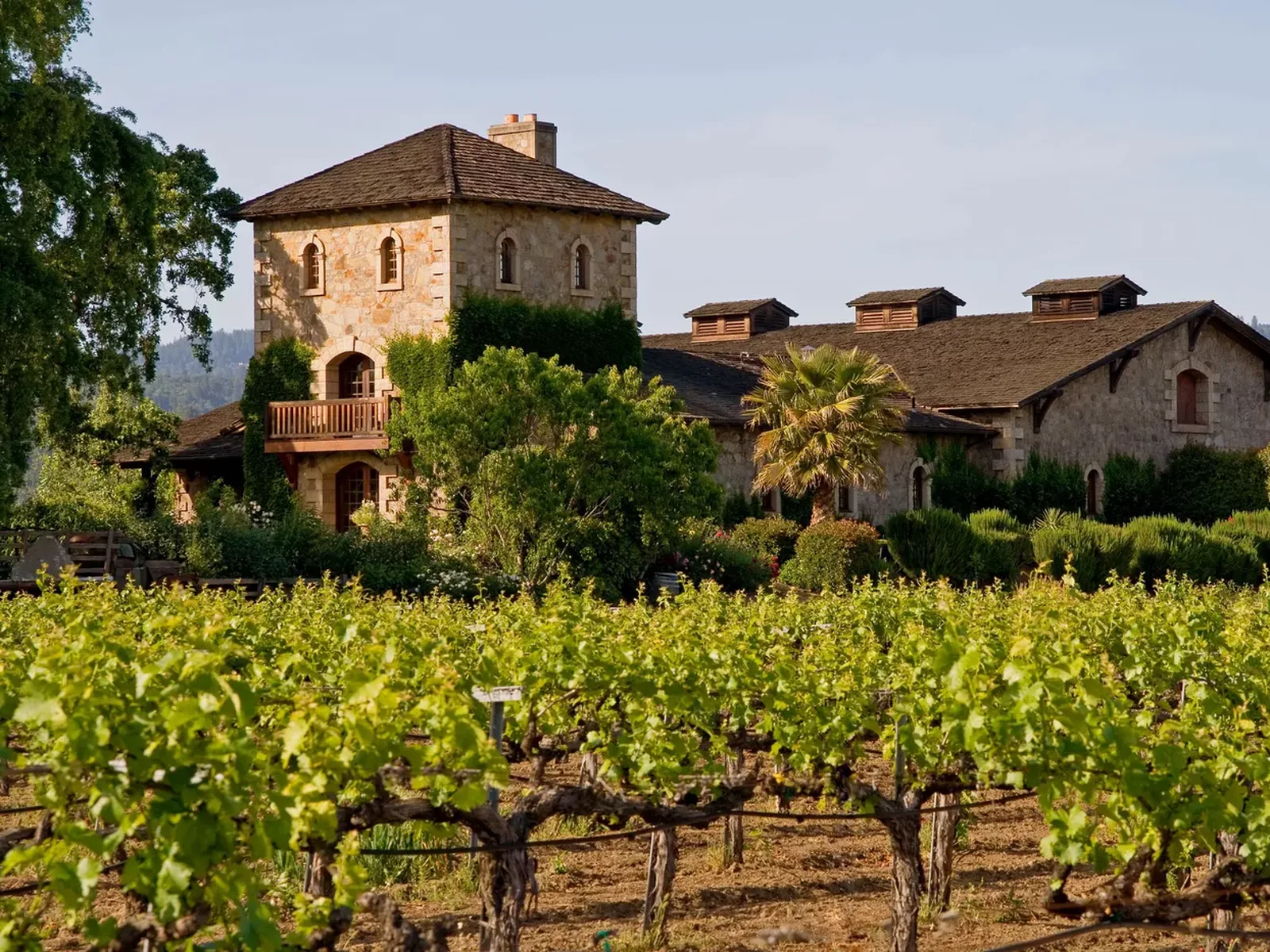 Vineyards in Napa Valley