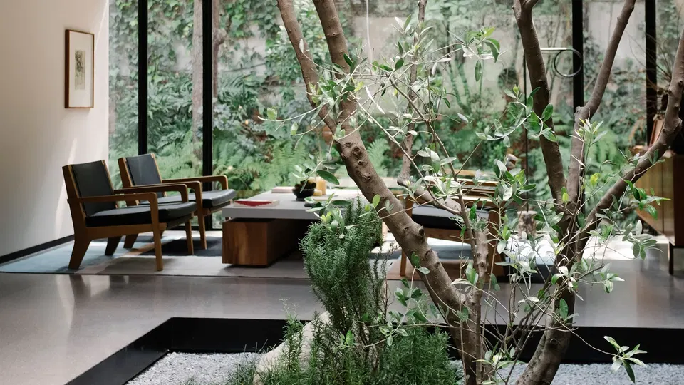 Indoor seating area with large windows overlooking lush greenery