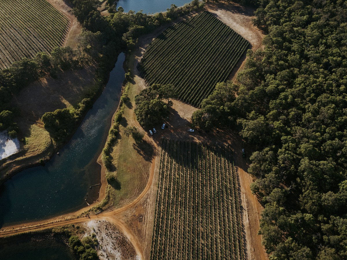 Aerial view of Wayfinder Wines Wilyabrup estate, showing vineyards, a winding waterway, a dam, and native bushland under sunlight.