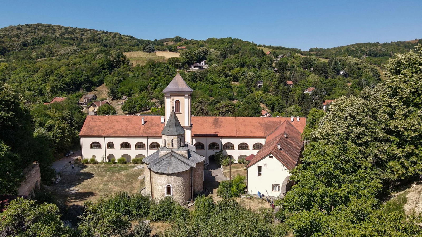 Welschriesling & Graševina: Central Europe's Golden Grape